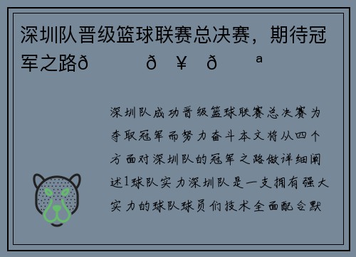 深圳队晋级篮球联赛总决赛，期待冠军之路🏀🥇💪